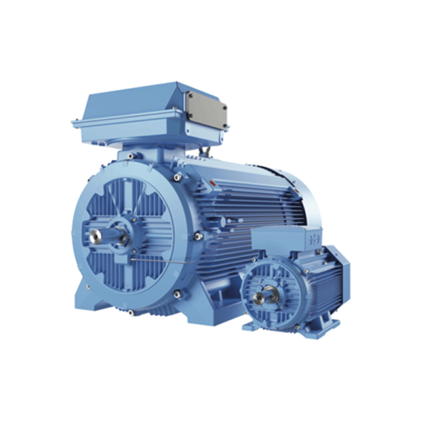 ELECTRIC MOTOR